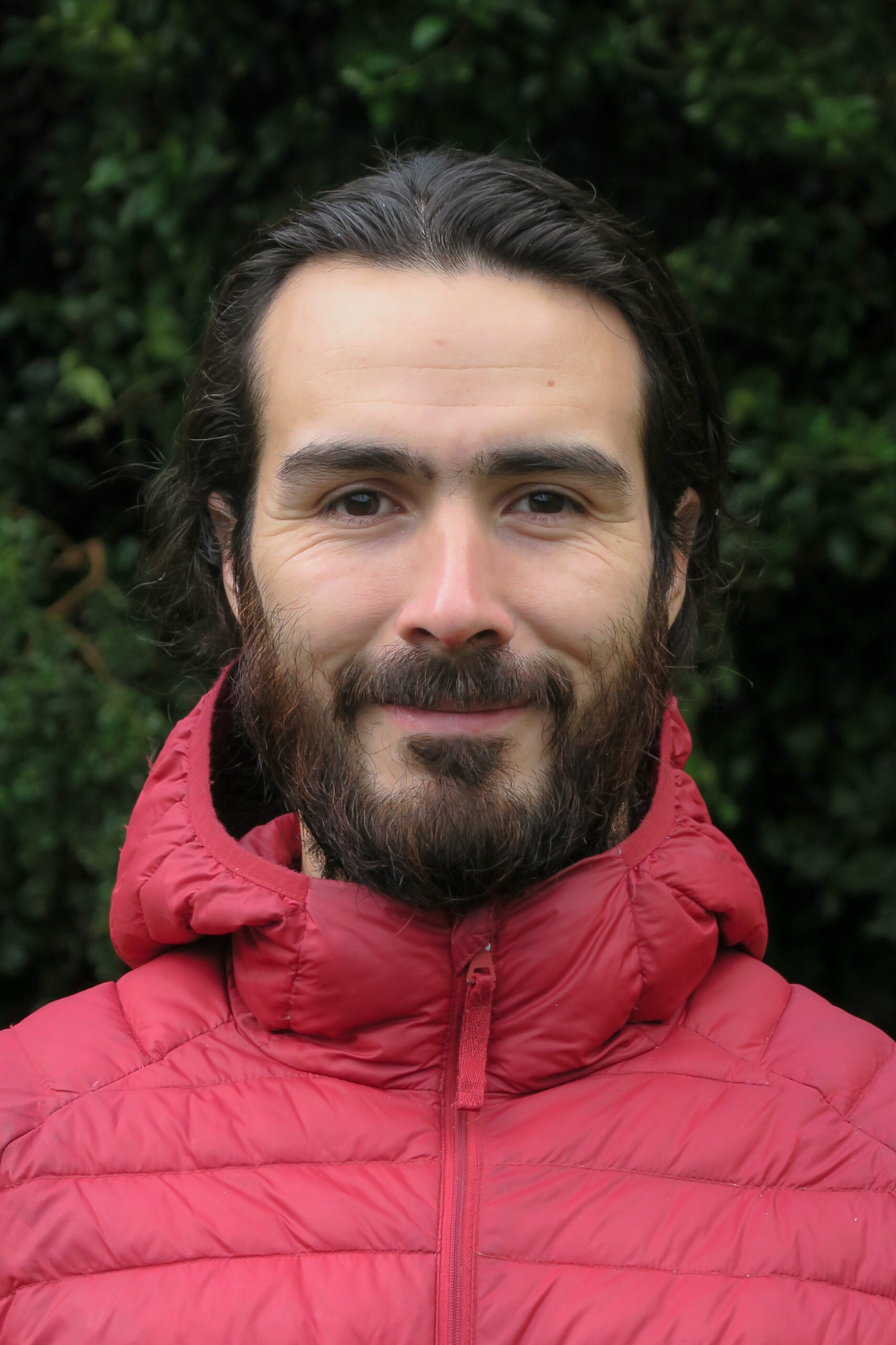 Falco Henríquez